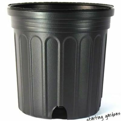 1 Gallon Nursery Pot, Black Trade Gallon, (qty. 100), 6.5 X 6.5, Not A Full Gal.