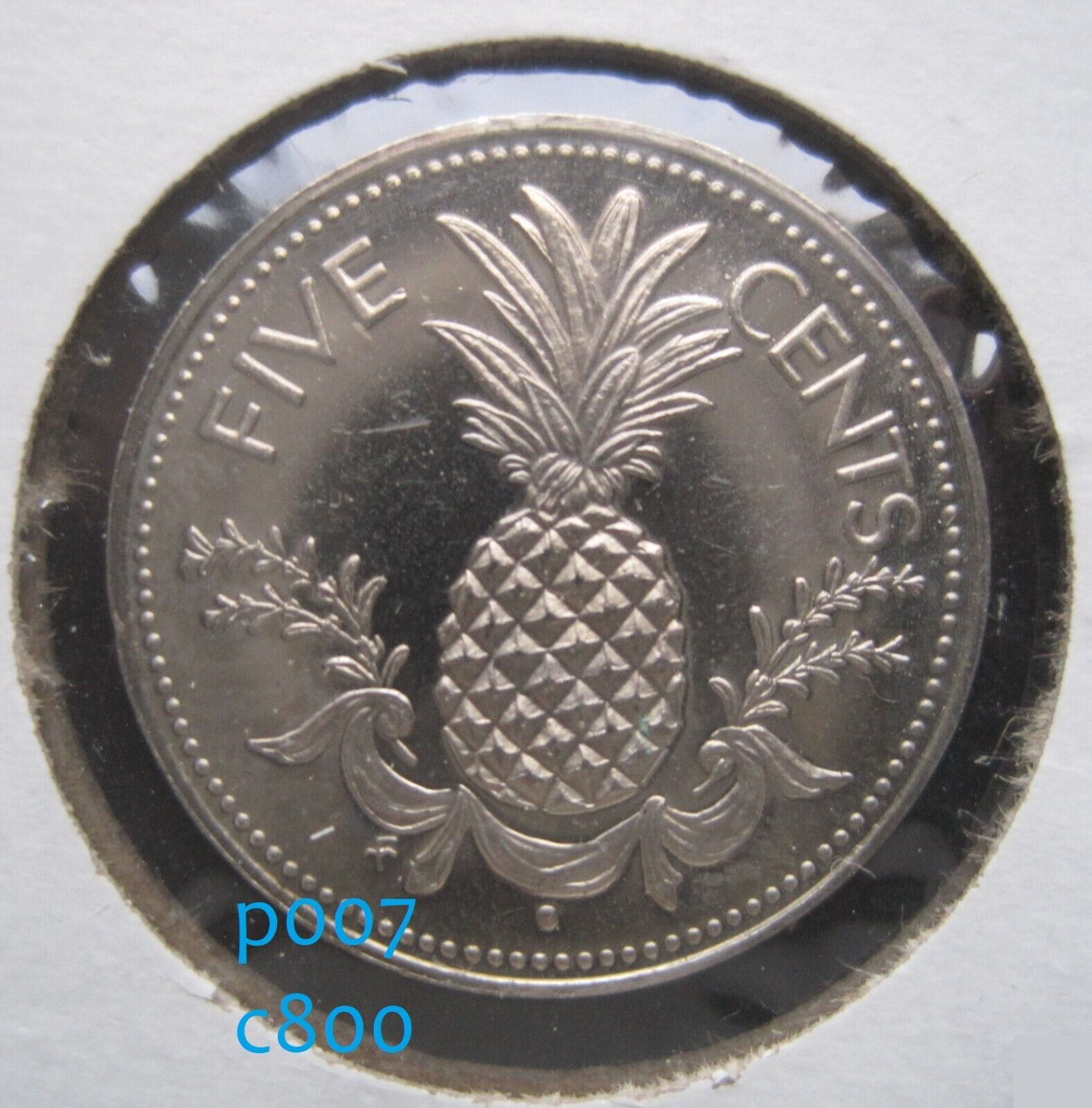 Bahamas Islands 5 Cents 1966 - 2005 Pineapple Fruit Gem Proof World Money Coin I