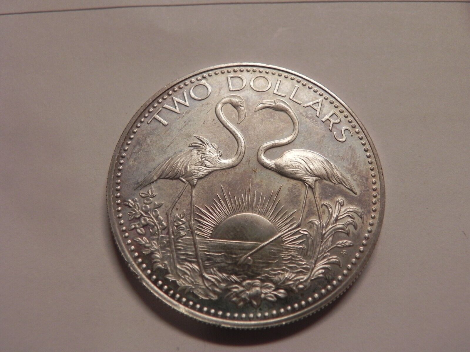 1975 Bahamas 2 Dollar Silver Proof Coin Low Mintage Flamingos A8