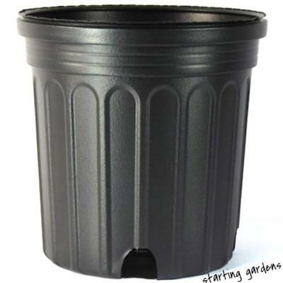 1 Gallon Nursery Pot (qty.50), Black Trade Gallon, 6.5 Inch